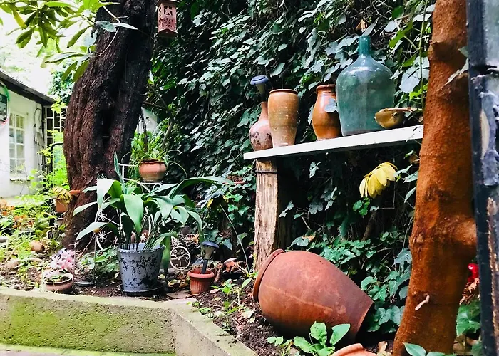 Tania\'S Home