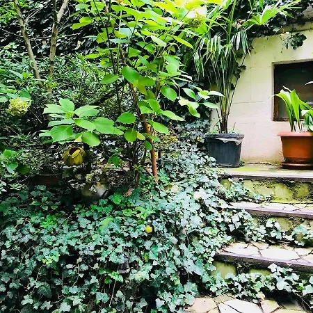 Tania'S Home Tbilisi Zewnętrze zdjęcie