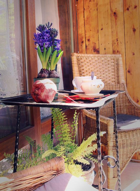 Tania's Apartament